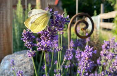 Ferienhof Weitblick - Foto 23