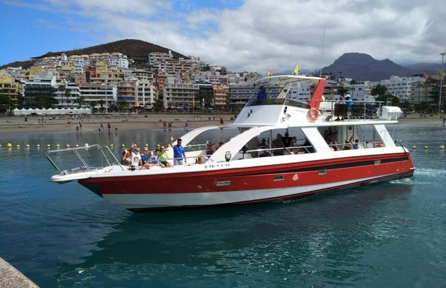 Los Cristianos Whale + Dolphin Watching Boat Tour - Photo 14