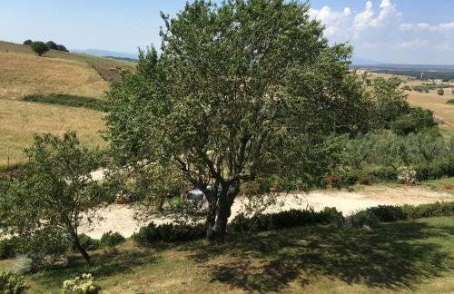 Agriturismo Terre di Musignano - Foto 59