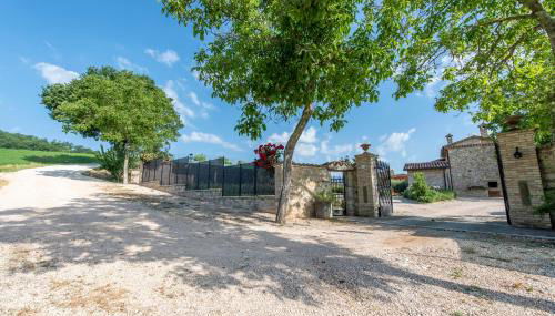 Todi Truffle - Photo 2