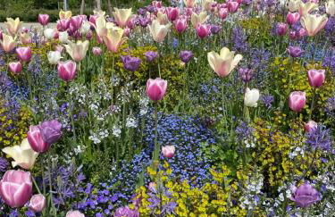 Schöne Wohnung in der Altstadt - Foto 70