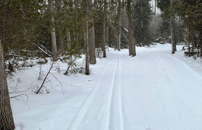 "stunning Serenity Cove On The Lake Cozy Cottage" - Foto 45