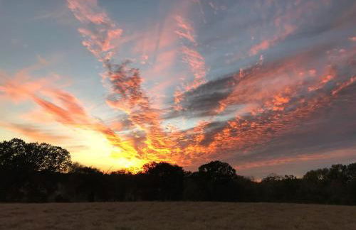 FIXER UPPER’s Original BARNDOMINIUM!! Sits on Private 16 wooded acres & lake - Foto 23