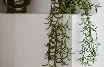 Appartement Suite Eden Jungle-nuit insolite pour couple ou solo - Foto 18