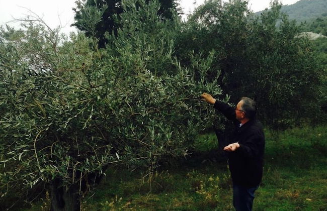 Gems of Pinakates - Foto 54