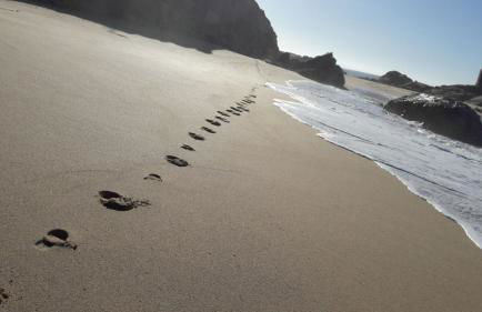 NEW!! Bonito adosado en Zahara de los Atunes - Foto 21