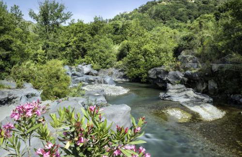 Villa Idyllica - Foto 34