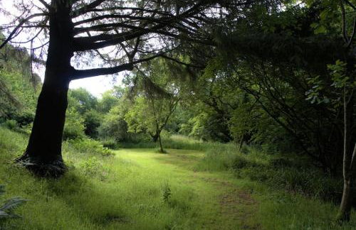 Ta Mill Cottages & Lodges - Meadowview Chalet 3 - Foto 33