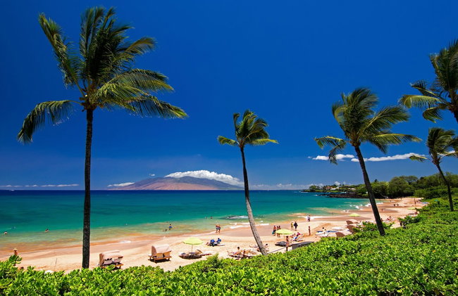 Beautiful 1 Bedroom Condo with Ocean Views | Oceanfront - Foto 110