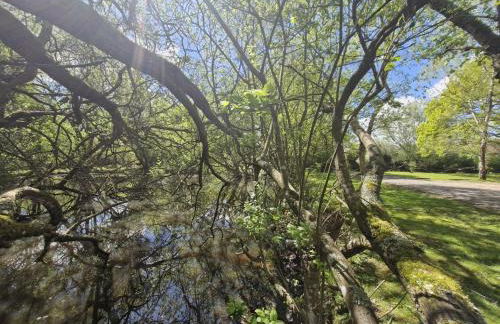 The Bakers Hut - Foto 19