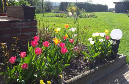 Ferienhaus Storchenweg - Foto 22