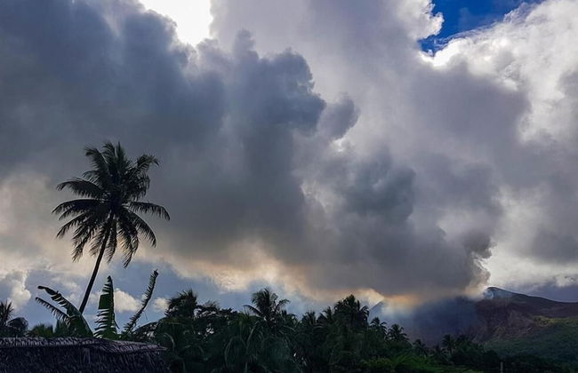 Castle Tree House - Photo 12