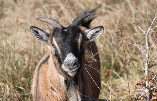 Gîte à la campagne groupe et famille 3 chambres Espace Jacuzzi hammam SPA - Photo 24