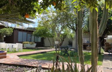 El Secanet - Foto 24