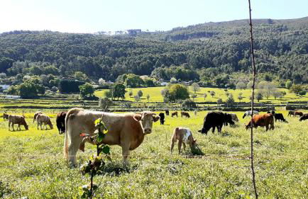 Casa de Santa Luzia B - Foto 33