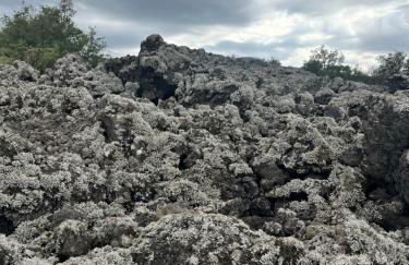 Poggio Roseto - Foto 102