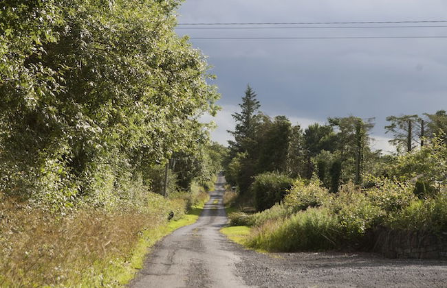 Inviting 4-bed House in Strokestown - Photo 23