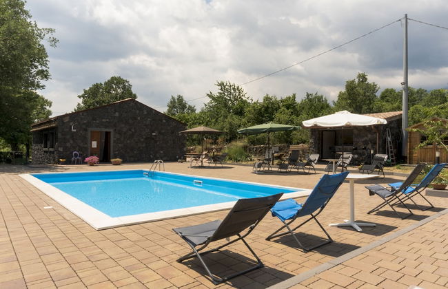 Viola nel Parco - Foto 46