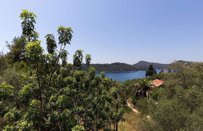 Apartment Kod Jadranke - Two Bedroom Apartment With Balcony and Sea View - Foto 29