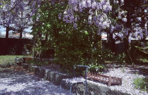 Casa da Costeira - Foto 41