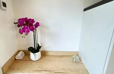 Codroipo square - Foto 60