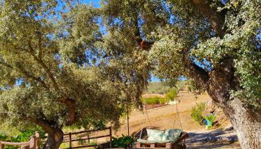 apartamentos turisticos la gitanilla - Foto 4, Garden