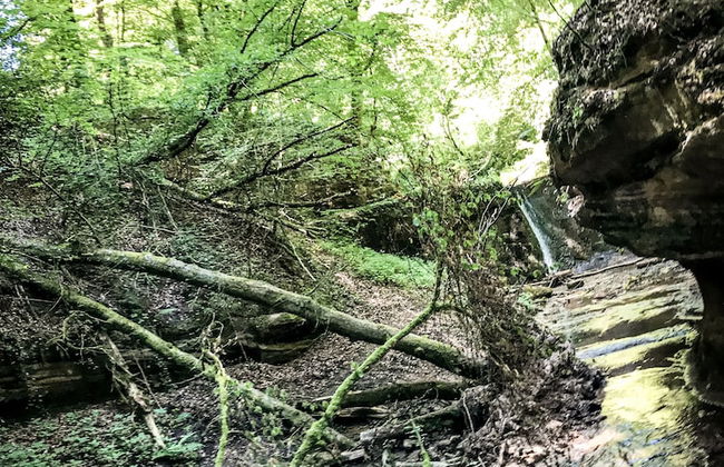 the backyard - Foto 63