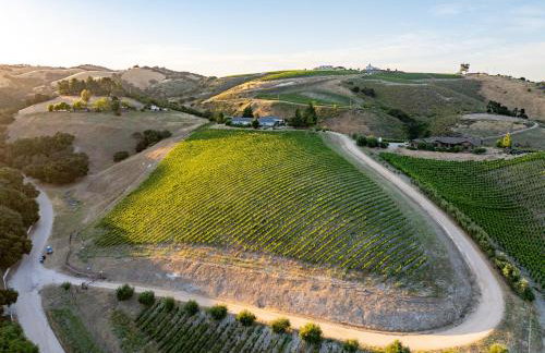 La Maison du Vin - Photo 65