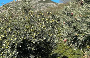 Bas de maison dans une oliveraie avec 2 suites parentales - Foto 45