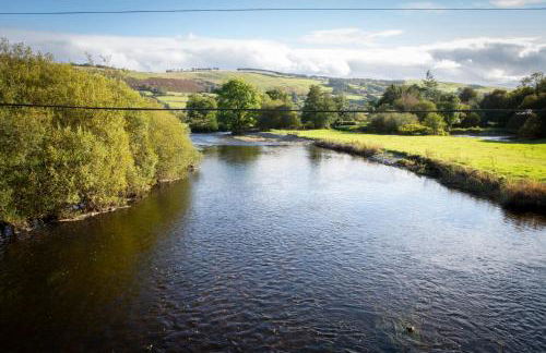 Felin Gogoyan - Photo 37