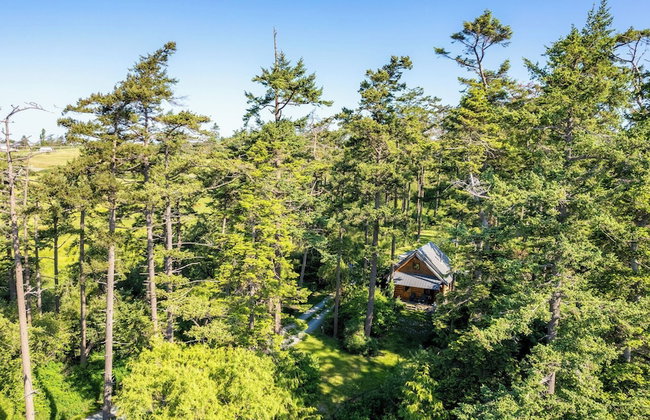 Penn Cove Overlook by Avantstay Cabin w/ Views - Foto 75