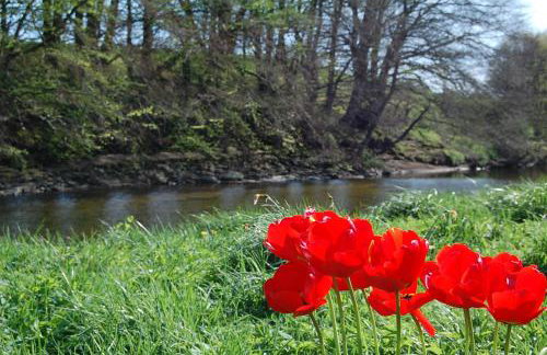 The Old Bakehouse - Foto 20