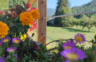 Domaine du vieux tilleul- Appartements - Gorges Tarn et Jonte - Foto 60