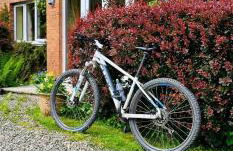 Pinetree Cottage, dog friendly, Holiday let, Callander Invertrossachs - Foto 9