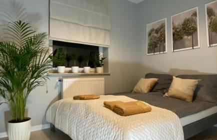 Apartament Plaza Park - Foto 12