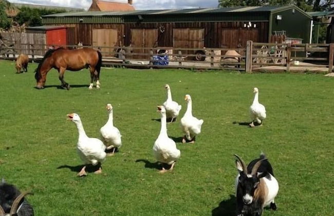 Skipbridge Farm Cottages - Foto 19