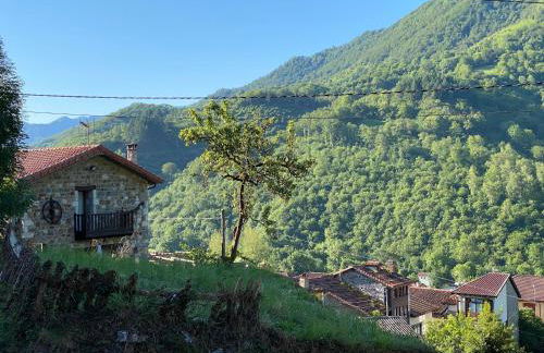 llar de Cosme - Foto 3