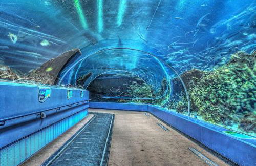 Upscale Midtown Retreat , Free Parking & Close to Mercedes-Benz - Foto 23