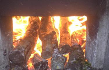 Siedlisko na łące - Foto 58