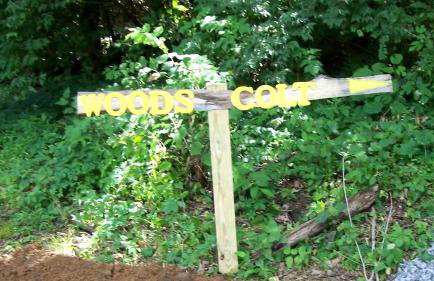 Cozy Tiny House in Tennessee Forest with Loft Beds & Country Breakfast - Foto 6