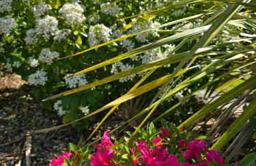 Gîte Ty Rosanès proche de la mer - Foto 63