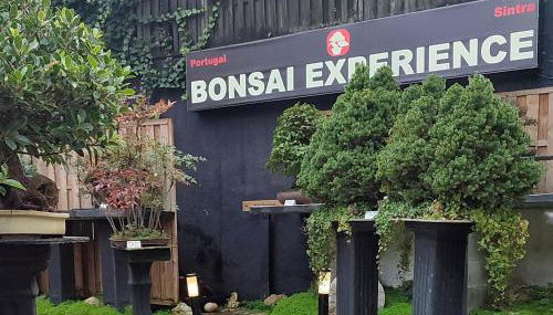 Zen Guest House - Museu do Bonsai - Foto 3