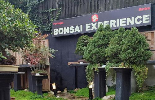 Zen Guest House - Museu do Bonsai - Foto 3