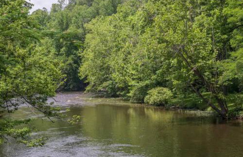 Dreamy Cabin & Outdoor Oasis! Mins to Nat'l Park! - Photo 46