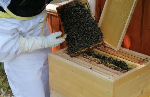 Apartments bei Familie Liebl - Foto 24