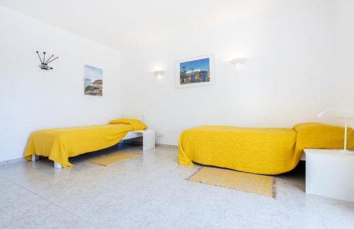 Paraíso dos Pássaros - Foto 10