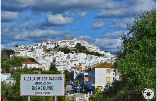 Vientos de Alcornoque - Foto 10