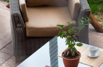 Polys Guest House - Foto 32