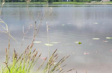 Frisch renoviertes BergSeeNest - Foto 21