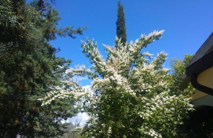 Agriturismo Pettinari - Foto 33